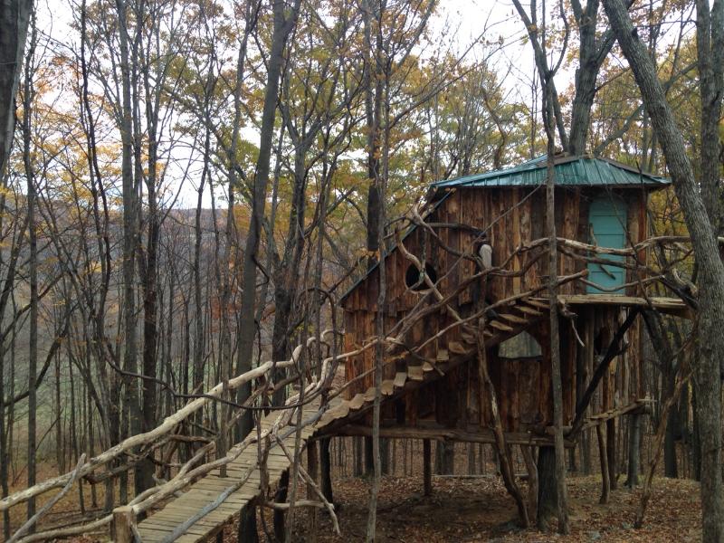 The Hermit Thrush Treehouse VT