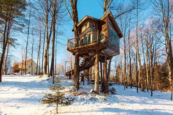 Tiny Fern Forest Treehouse VT