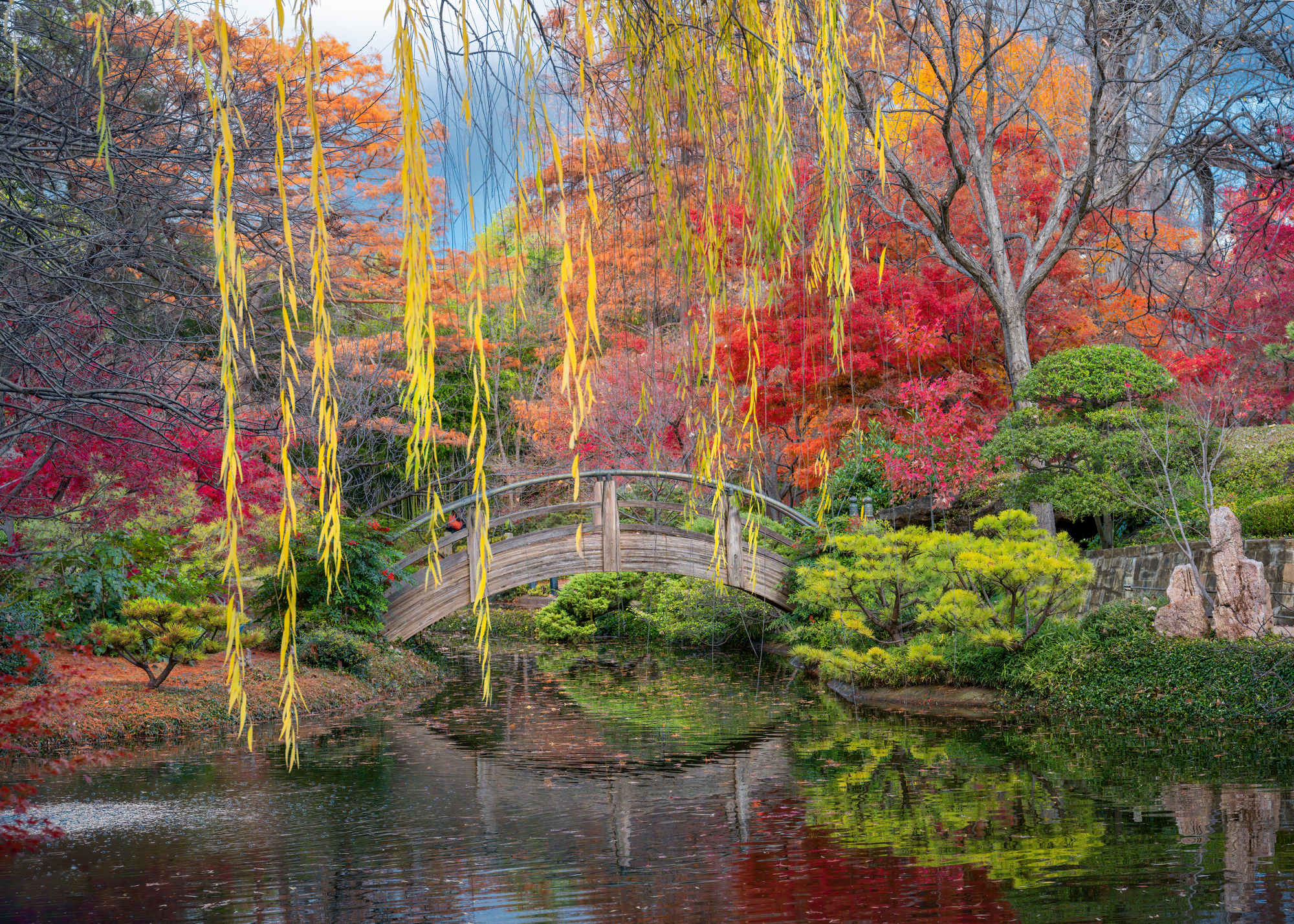 Japanese Garden Park